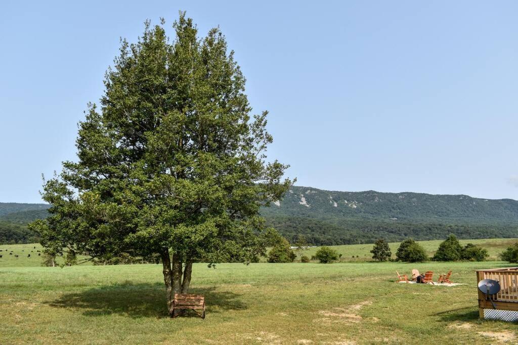 Holly Tree Retreat Located In Beautiful Luray, Va. Villa Exterior foto