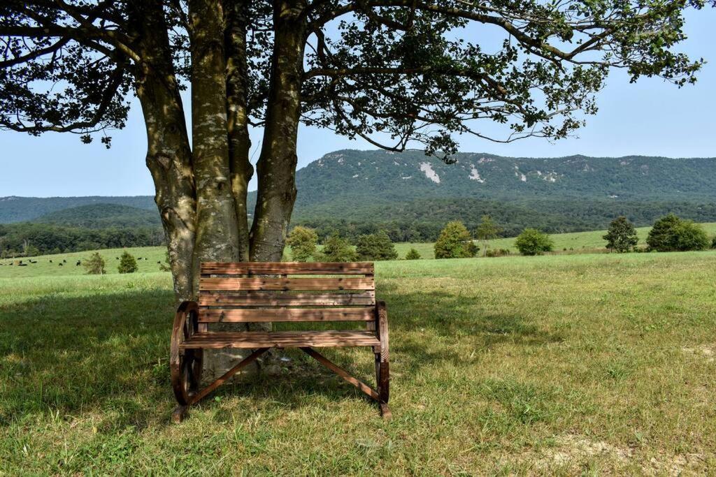 Holly Tree Retreat Located In Beautiful Luray, Va. Villa Exterior foto