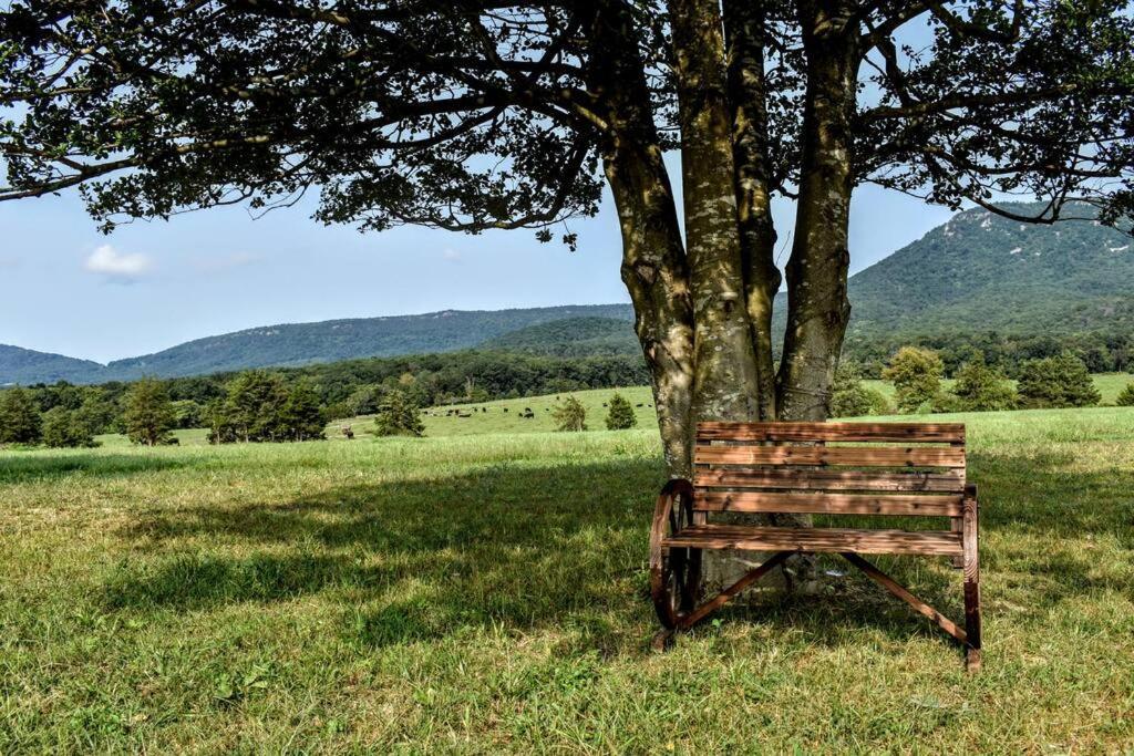 Holly Tree Retreat Located In Beautiful Luray, Va. Villa Exterior foto