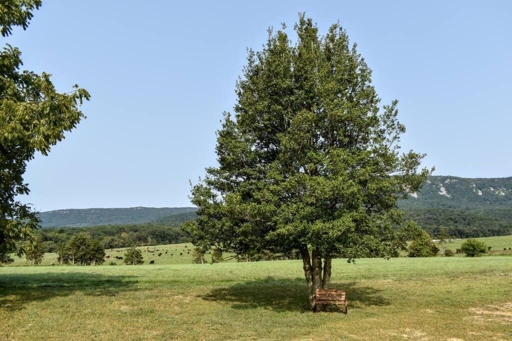 Holly Tree Retreat Located In Beautiful Luray, Va. Villa Exterior foto